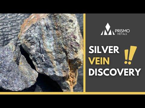 Prismo Metals Interview: Enormes Explorationspotenzial in Arizona und Mexiko