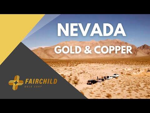 Interview mit Fairchild Gold: Drei Projekte, ein klarer Wachstumsfokus in Nevada