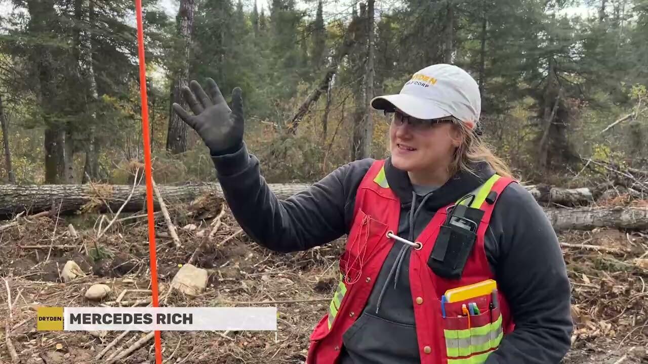 Unternehmensvideo von Dryden Gold Corp.